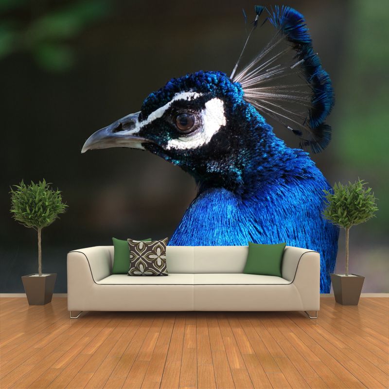Tropical Peacock Mural Decal for Sitting Room Water Resistant, Made to Measure