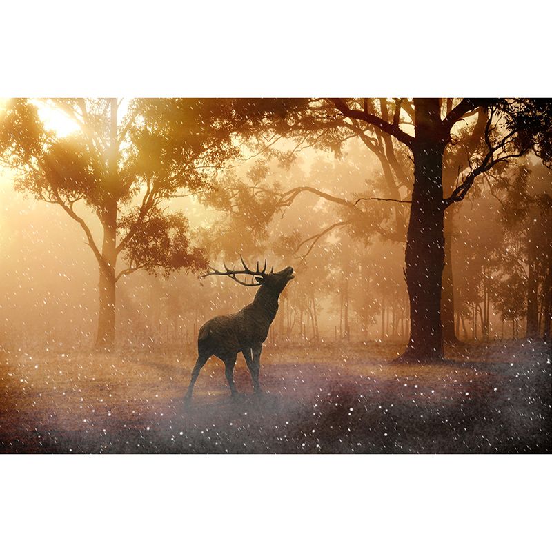 Forest Photography Environment Friendly Mural Wallpaper Bedroom Wall Mural