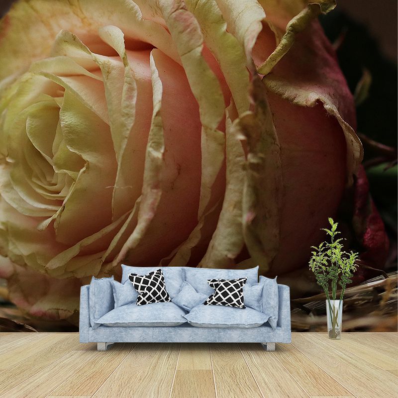 Modern Style Wall Mural Wallpaper Roses Sitting Room Wall Mural