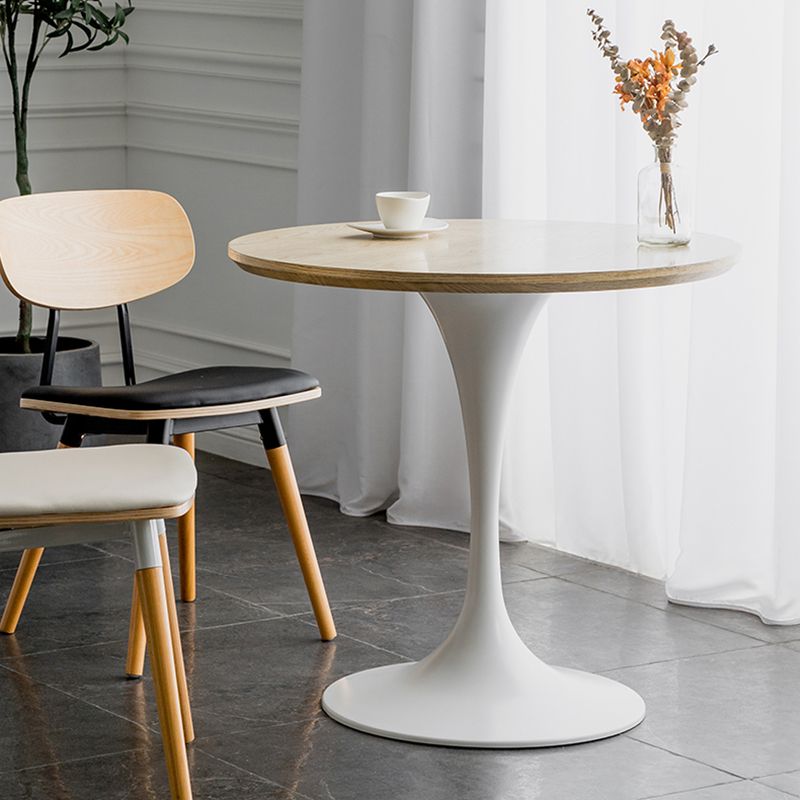 Modern Round Wood Dining Table Tulip Base Home Kitchen Dinner Dining Table