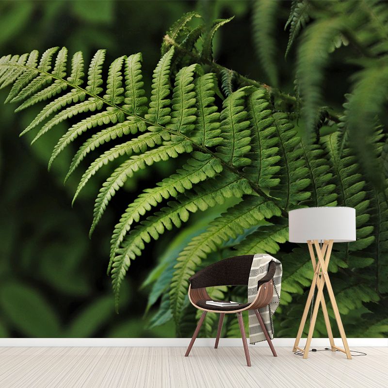 Ferns Plant Mural Wallpaper Mildew Resistant for Reading Room Bedroom Home Decor