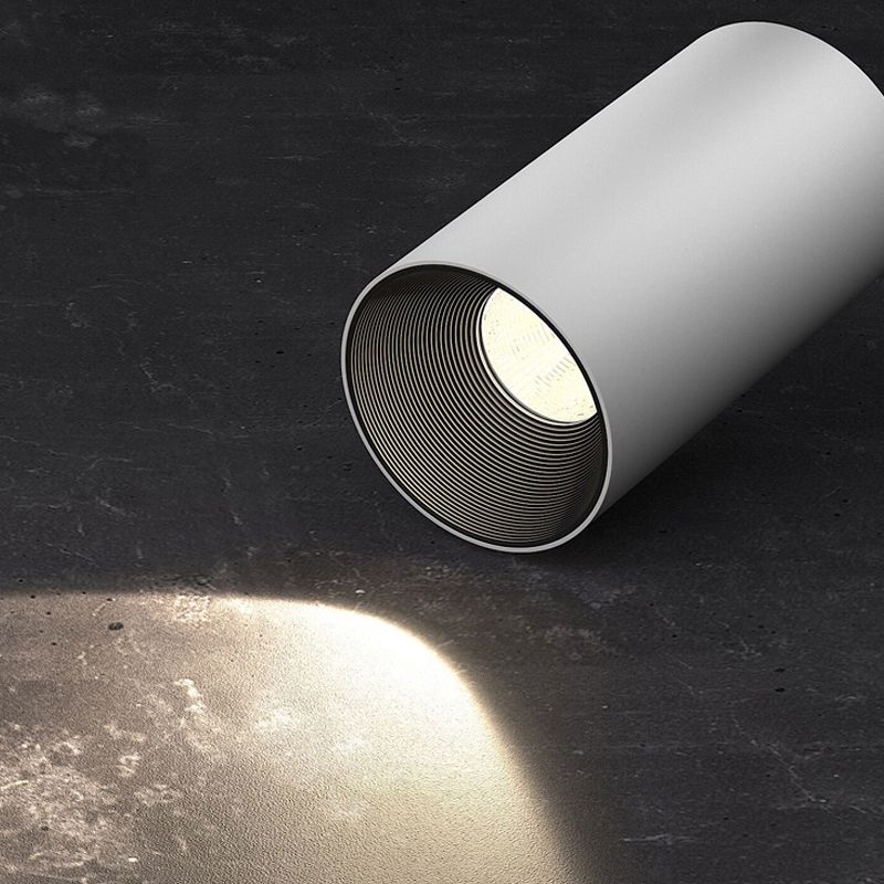Luminaire de plafond cylindrique en aluminium de forme concise moderne de plafonnier de LED