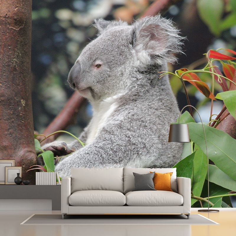 Koala Animals Mural Wallpaper Washable Living Room Wall Decor, Moisture Resistant