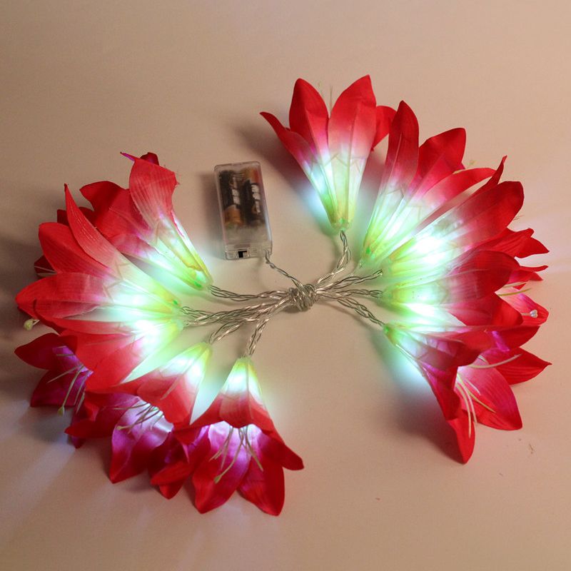 Lily Fabric String Light Ideas Countryside 3M 20 Heads Blue/Pink/White LED Fiesta Lighting for Indoor