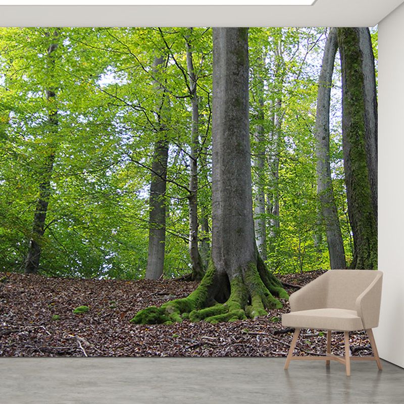 Green Forest Scenery Mural Wall Decor for Bedroom Study Room Reading Room