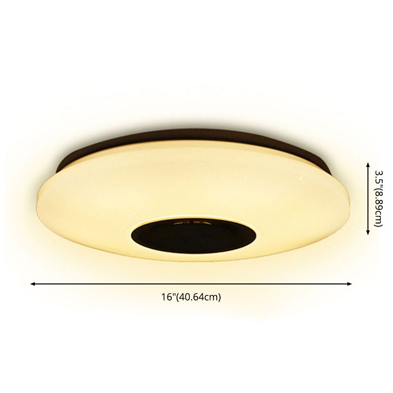 Ceiling Light Fixture LED Ceiling Lamp Phone Control Light Room Light Indoor Light