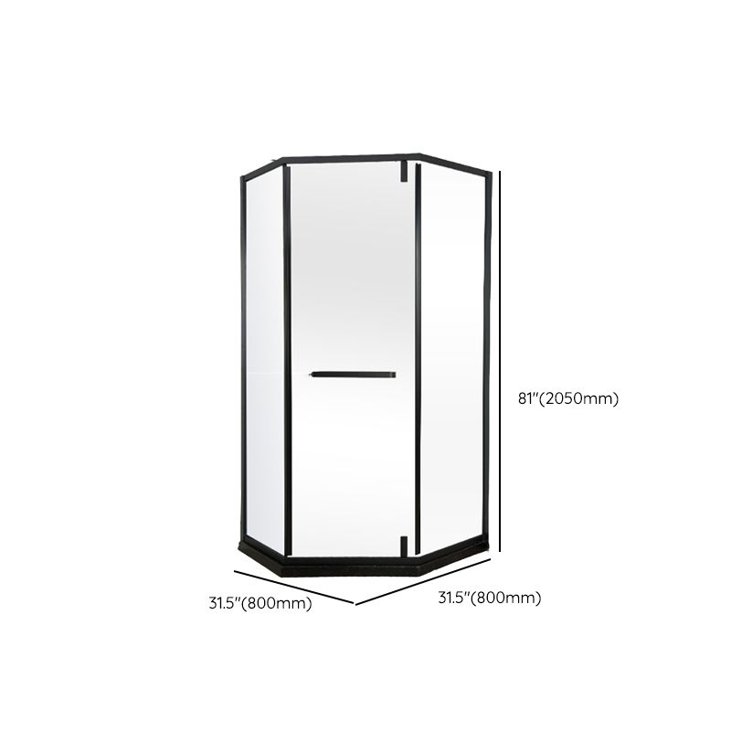 Black Stainless Steel Shower Stall Clear Pivot Shower Enclosure with Fixed Panel