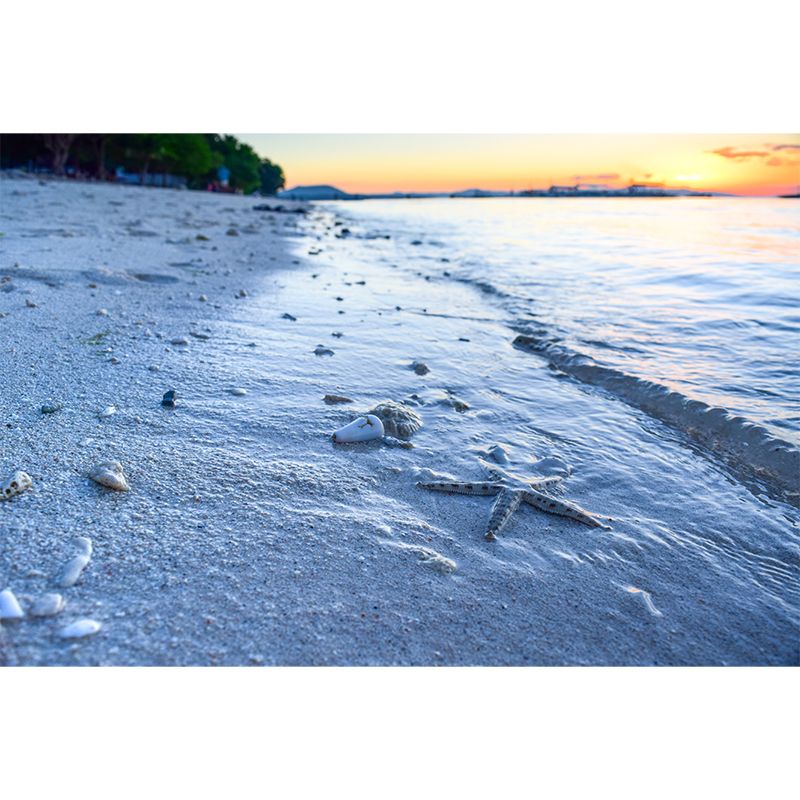 Blue Sea Wall Mural Moisture Resistant Wall Decoration for Bedroom Living Room