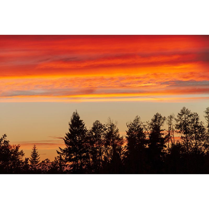 Mildew Resistant Mural Wallpaper Sky Landscapes Pattern for Wall Decor