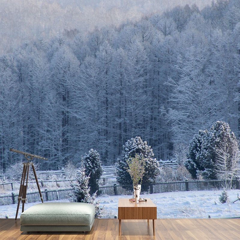 Photography Forest Landscapes Mural Eco-friendly Wallpaper for Room