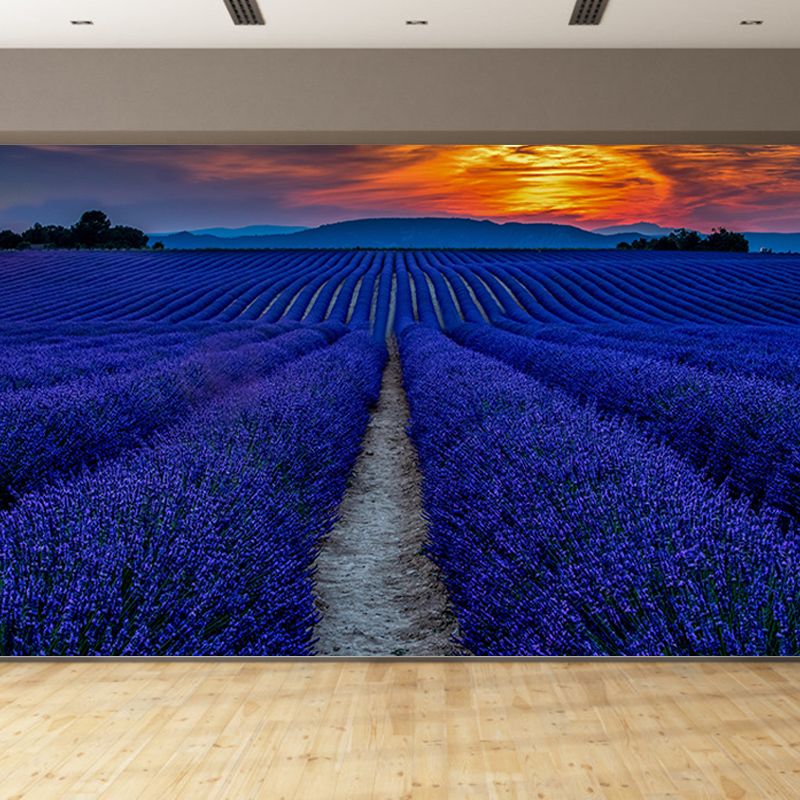 Beautiful Lavender Field Mural Wallpaper Photography Horizontal Wall Decor for Home