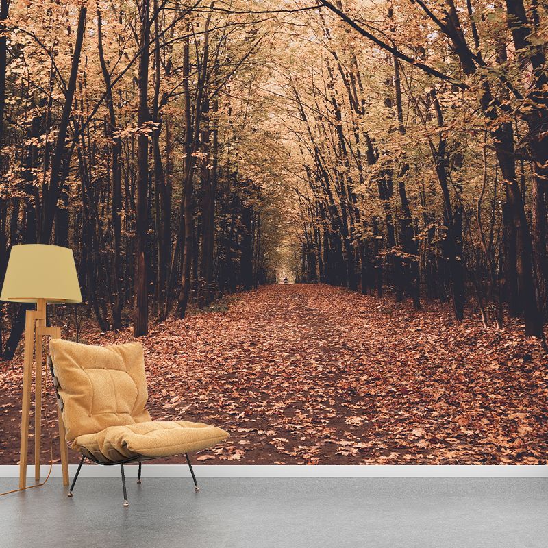 Woods Stain Resistant Photography Wallpaper Drawing Room Wallpaper