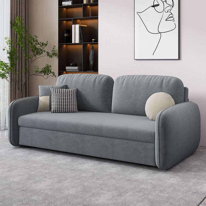 31.49" Wide Sleeper Sofa Velvet Detachable Mattress Sofa Bed with Storage