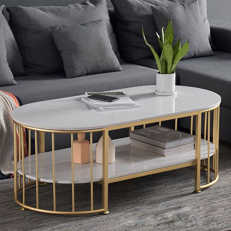 Glam Oval Coffee Table with Marble Top and Storage Shelf and Steel Base