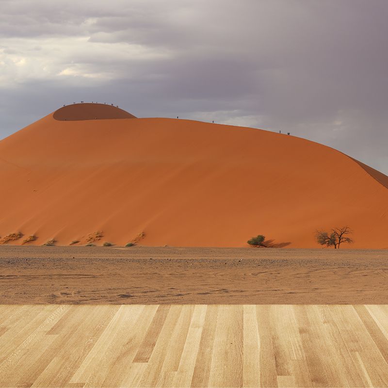 Photography Desert Mural Yellow Modernism Wall Decor for Living Room Bedroom