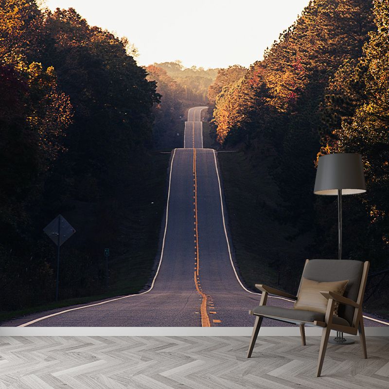 Modern Style Wall Mural Wallpaper Outdoor Path Living Room Wall Mural