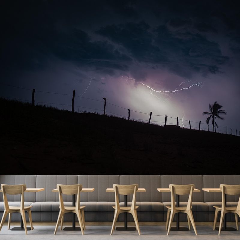 Terrible Lightning Wall Murals Contemporary Photography Style Wall Art for Bedroom