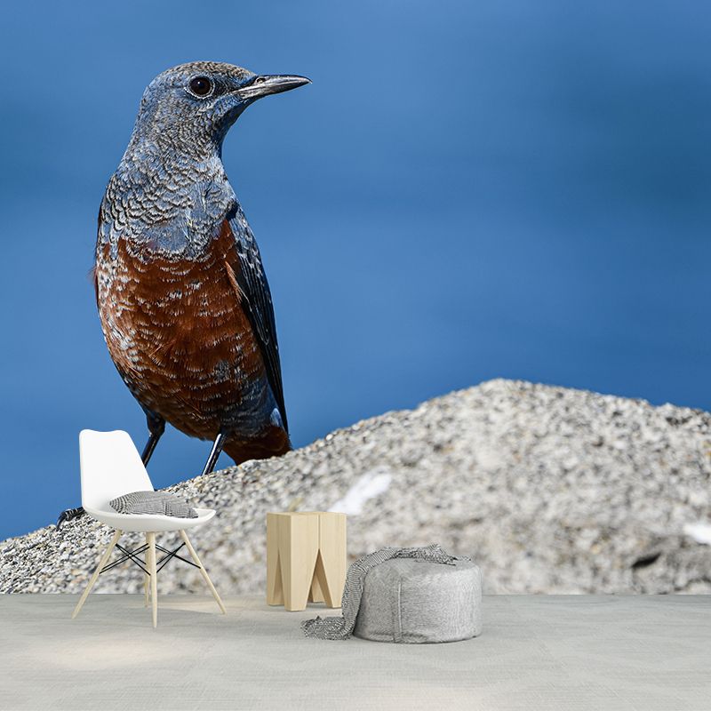 Throstle Moisture-Resistant Mural Wallpaper for Sitting Room, Customized Size Available