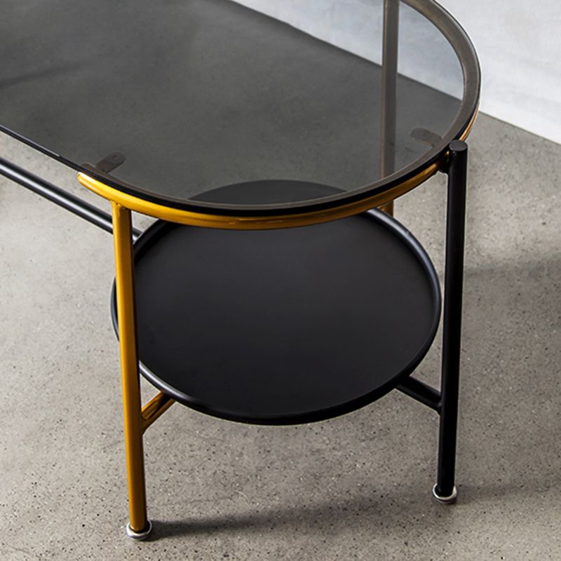 Modernism Elliptical Glass Top Coffee Cocktail Table with Shelf