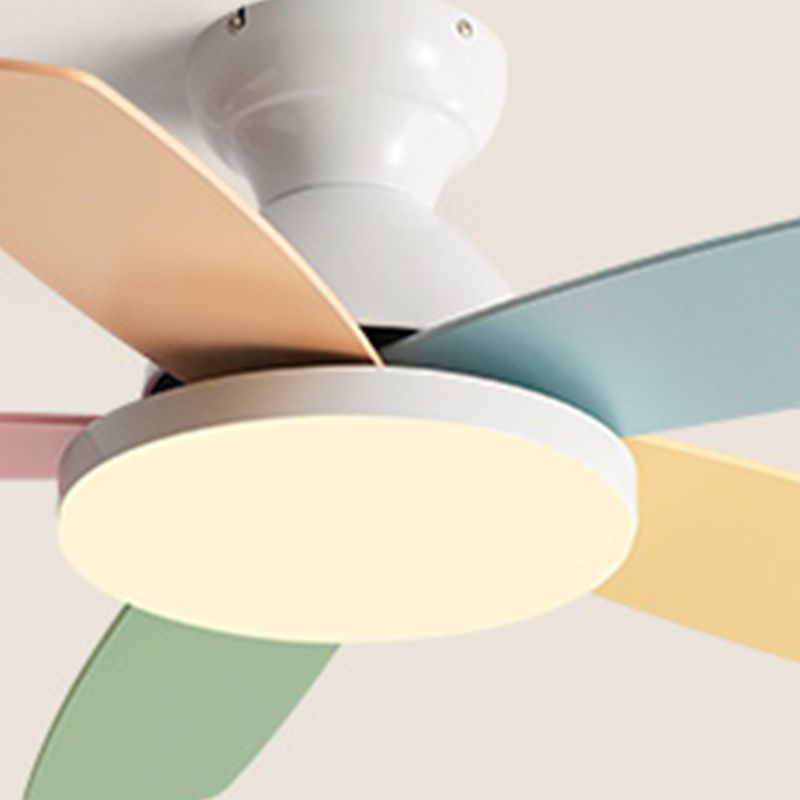 Éventail de ventilateur coloré à 5 lames