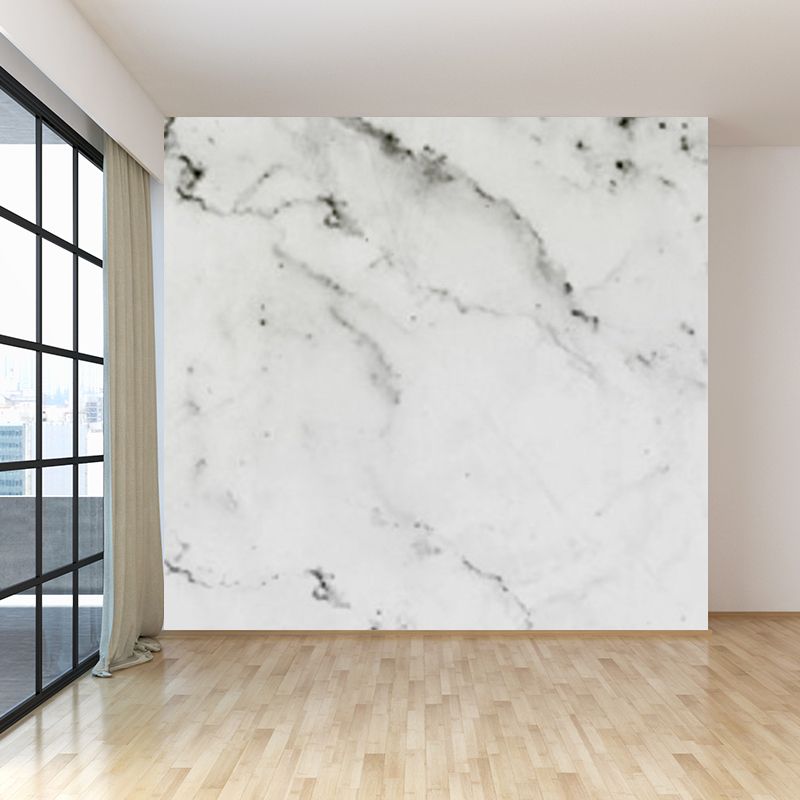 Light Color Abstract Print Mural Wallpaper Moisture-Proof Wall Art for Dining Room