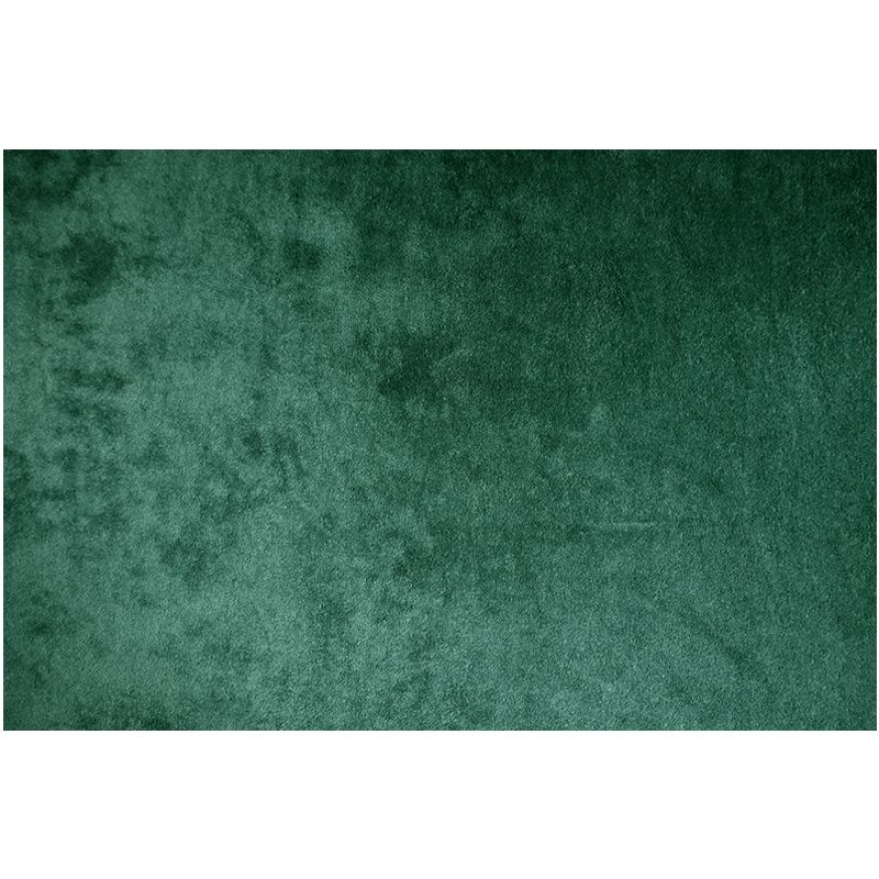 Modern Pure Color Carpet Green Polyester Area Rug Modern Stain Resistant Rug for Living Room