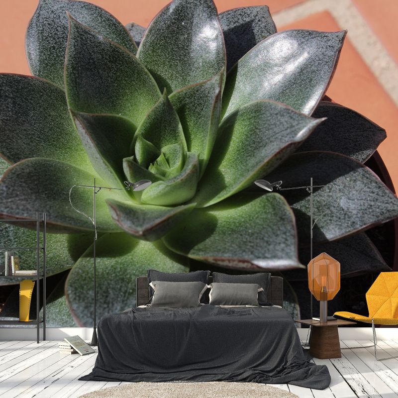 Plants Wall Decals Removable Wall Art Decor for Office Home Apartment, Moisture Resistant