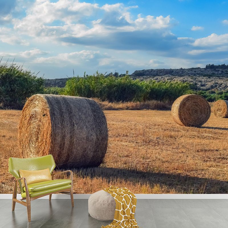 Contemporary Straw Bale Mural Wallpaper Moisture Resistant Living Room Wall Covering