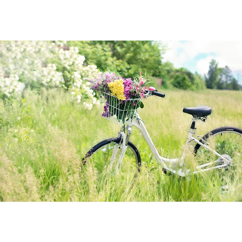 Modern Photography Mural with Bike and Flower Wallpaper Wall Covering for Dining Room