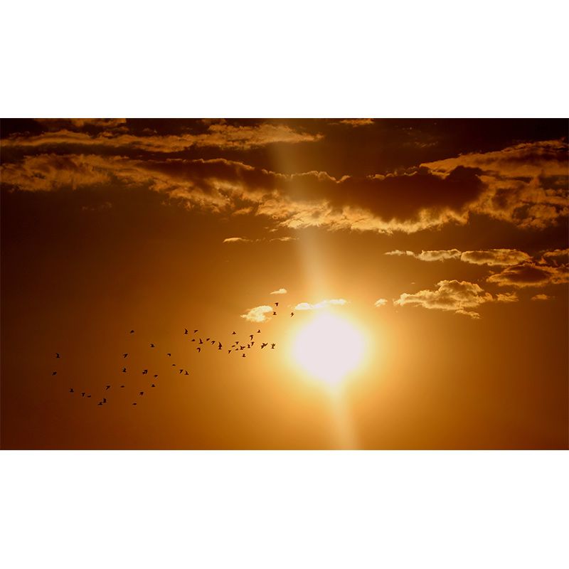 Modern Photography Mural Wallpaper Fantastic Sky Indoor Wall Mural