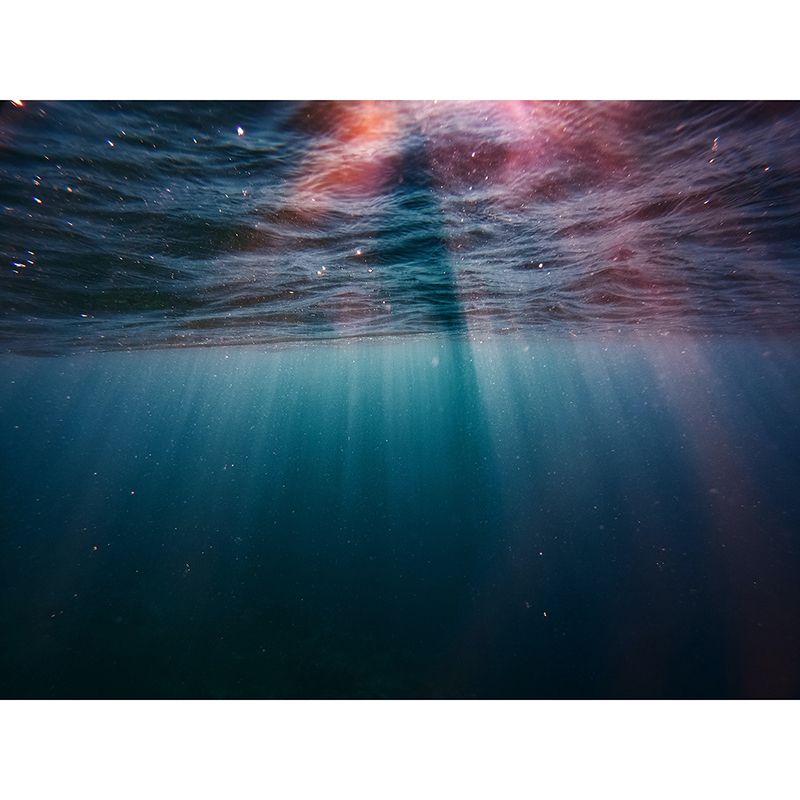 Decorative Wall Mural Wallpaper Deep Sea Printed Sitting Room Wall Mural