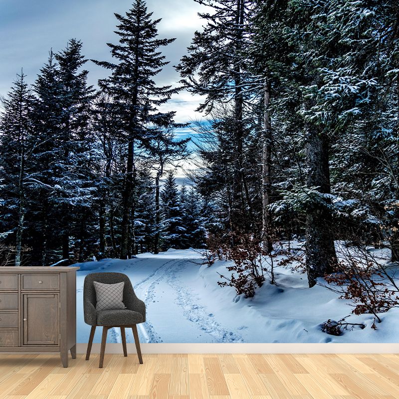 Horizontal Photography Forest Landscapes Mural Eco-friendly Wallpaper for Bedroom