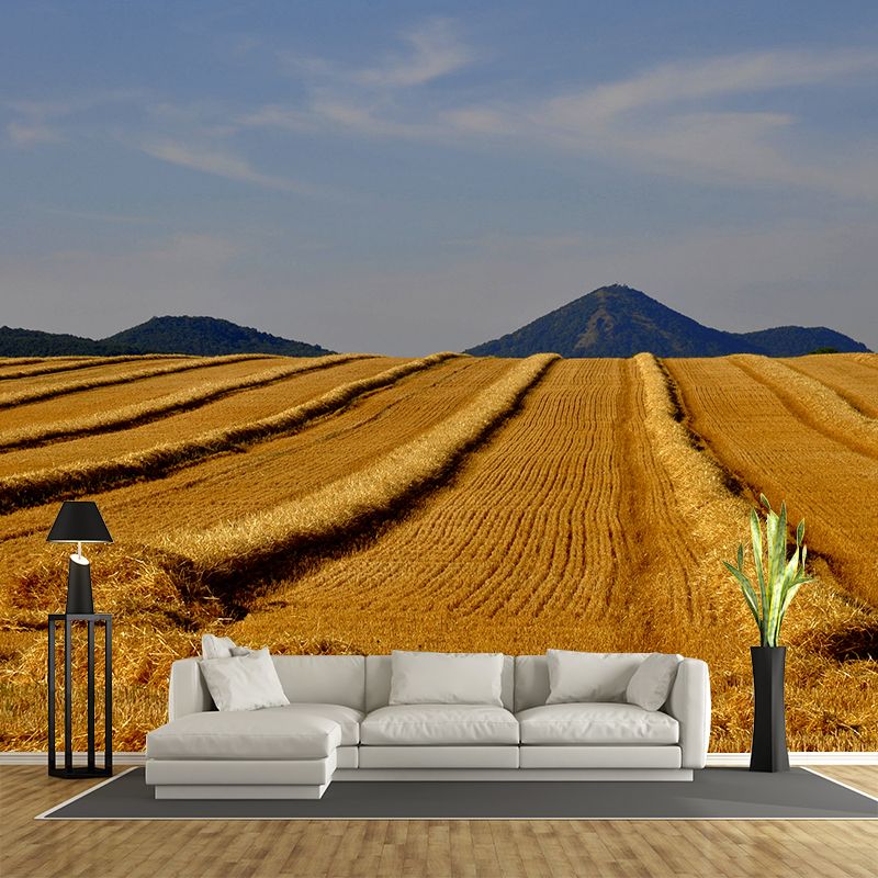 Contemporary Photo Wheat Field Mural Soft Color Stain Resistant Wall Art for Dining Room