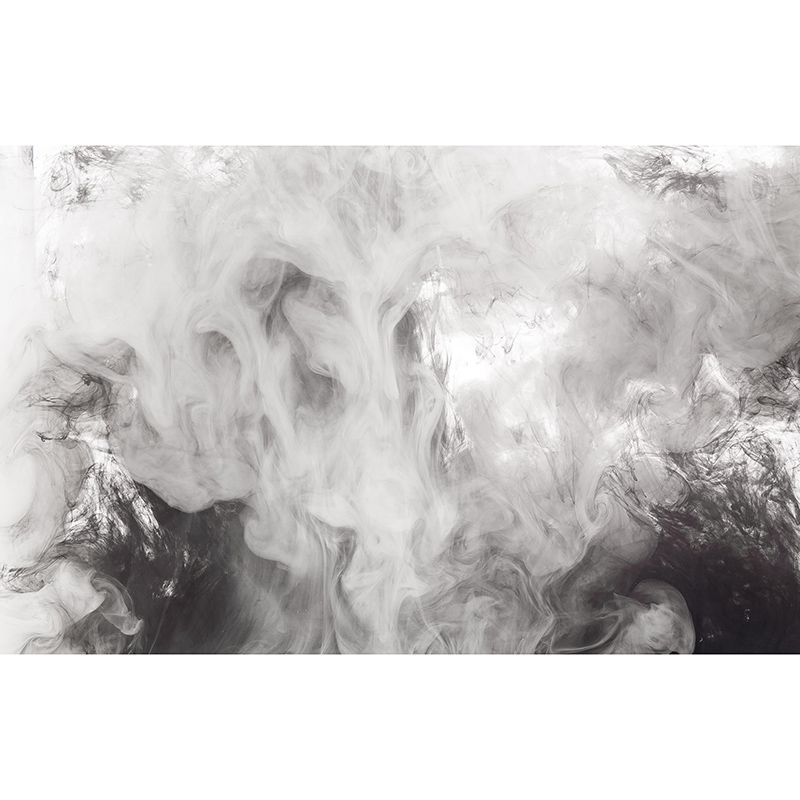 Mildew Resistant Ink Fusion Murals Contemporary Wall Murals for Home