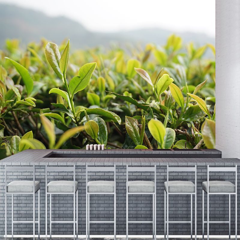 Tea Leaf Wall Mural Water Mildew Resistant Environment Friendly Wall Decor for Bedroom