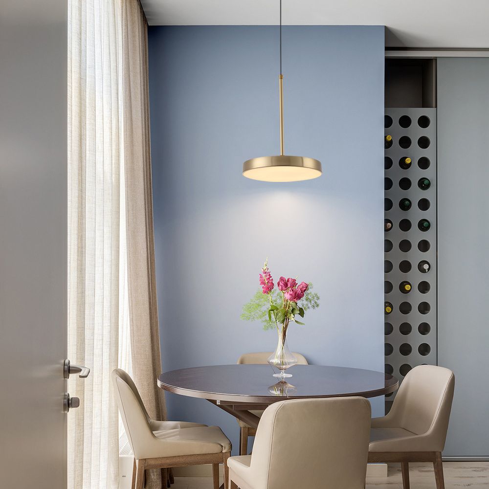 Nordic Simple Hanging Ceiling Light Circular Metal LED Hanging Light Fixtures for Restaurant