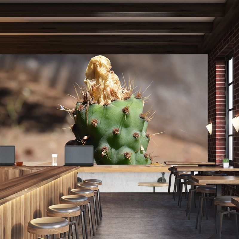 Tropical Cactus Removable Wall Mural for Reading Room, Made to Measure