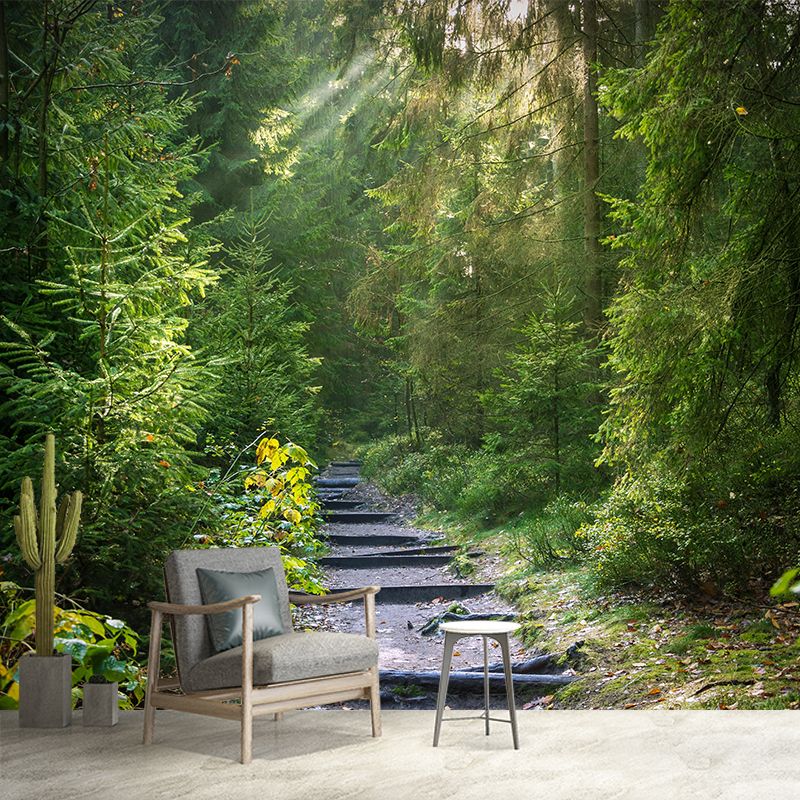 Forest Full of Spring Mural Wallpaper for Decoration Modern Living Room Wall Covering