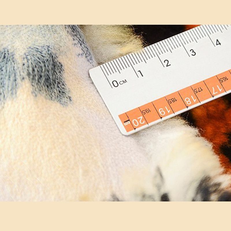 Novelty Shape Trendy Modern Rug Animal Printed Shag Rug Lamb Wool Easy Care Carpet for Home Decor