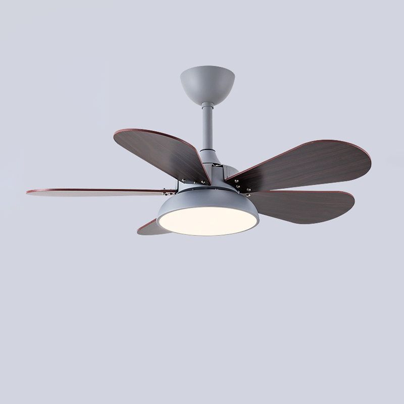 5 - Blades Kids Style Ceiling Fan Metal and Wood Fan Lighting Fixture in Grey / White