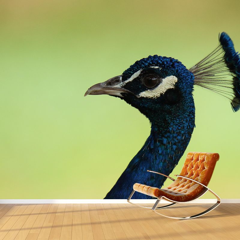 Peacock Animal Mural Wallpaper Stain Resistant Wall Covering for Gust Room