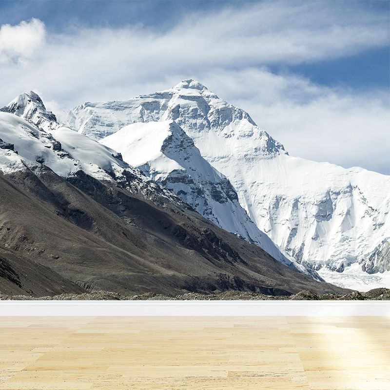 Mount Everest Mural Contemporary Mildew Resistant Family Room Wall Covering