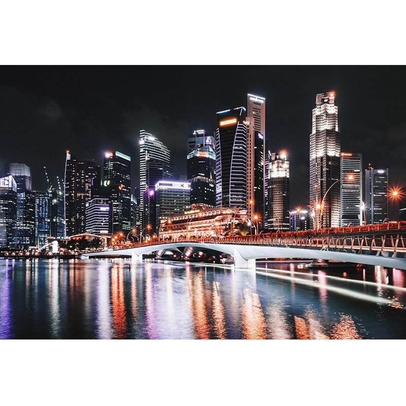 Contemporary Night Scene Mural Environment Friendly Wall Decor for House Interior