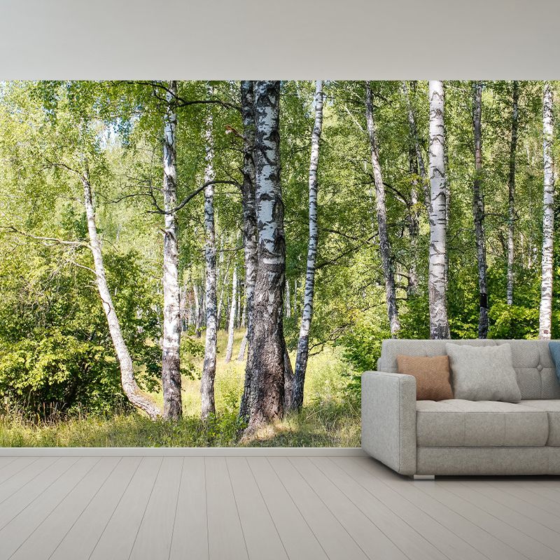 Beautiful Forest Mural Wallpaper Decorative Mildew Resistant Wall Decor
