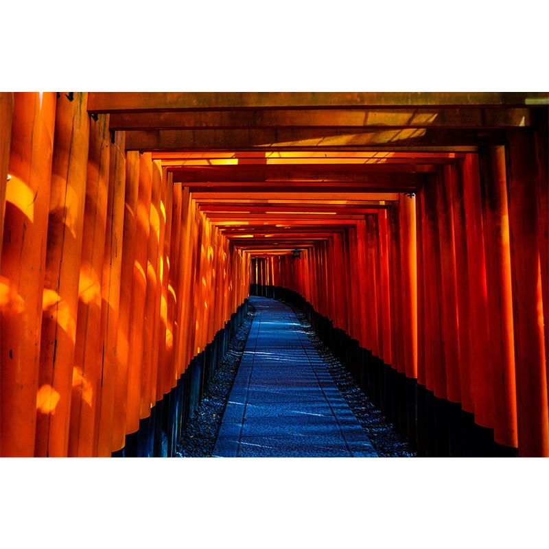 Mysterious Tunnel Wall Mural Decals Home Decoration Living Room Wall Decor