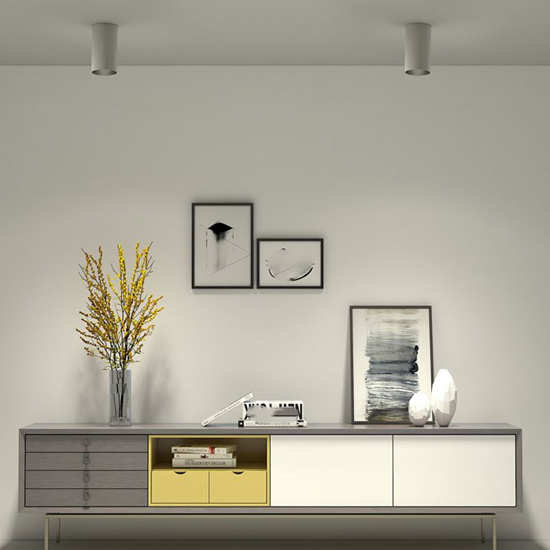 Luminaire de plafond cylindrique en aluminium de forme concise moderne de plafonnier de LED