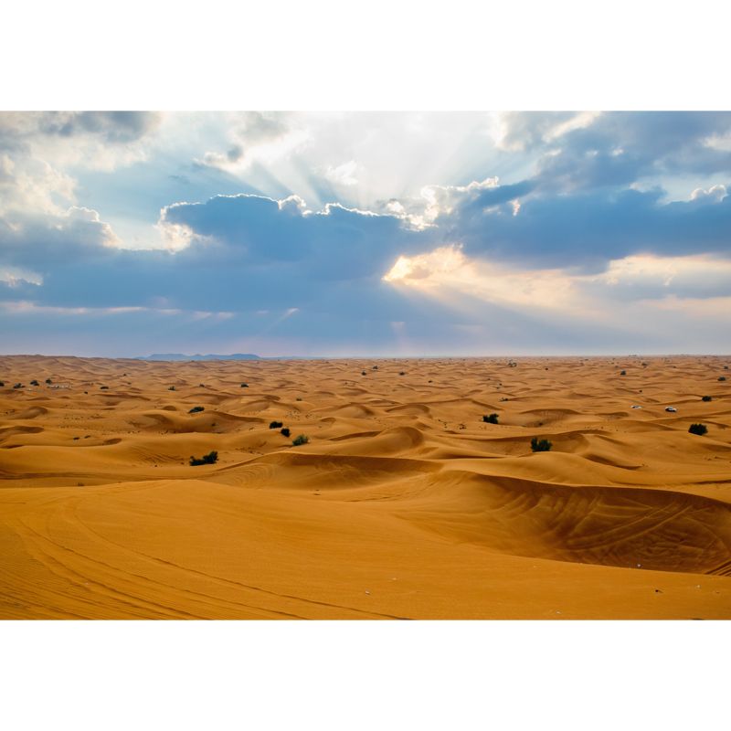 Broad Sand Sea Wallpaper Mural for Accent Wall, Yellow and Blue, Personalized Size Available