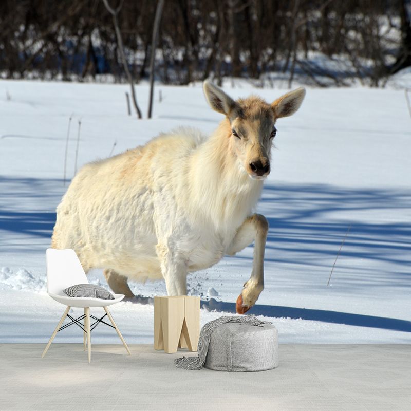 Deer Animal Water-Resistant Wall Mural Minimalist Wall Covering for Living Room Decor