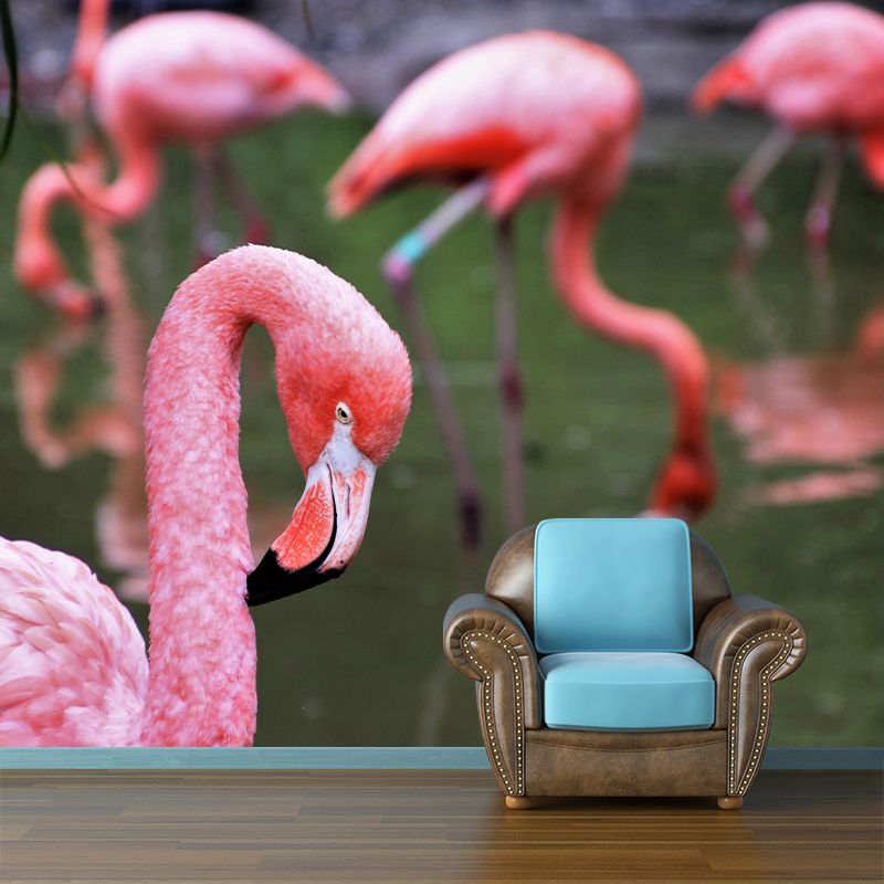 Tropical Flamingos Wall Mural Mildew Resistant Covering for Dining Room