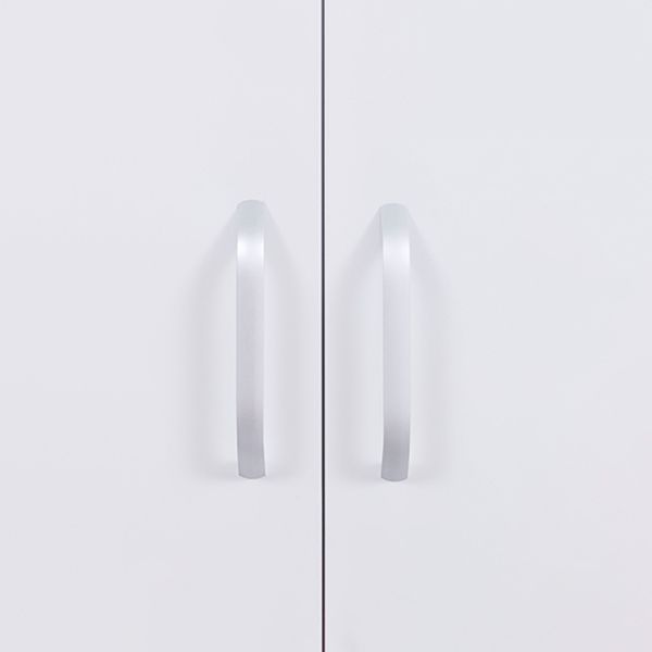 Contemporary Two Doors Wardrobe Armoire Steel Wardrobe Closet